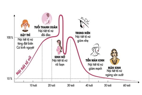 Sự suy giảm nội tiết tố nữ (estrogen) theo thời gian Sự suy giảm nội tiết tố nữ (estrogen) theo thời gian