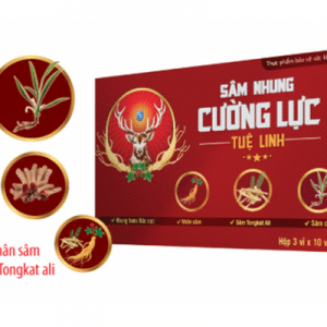 Thành phần Sâm nhung cường lực Tuệ Linh