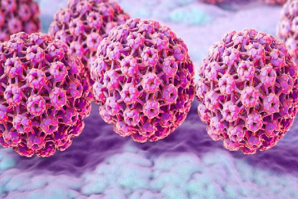 Virus HPV gây nên mụn cóc