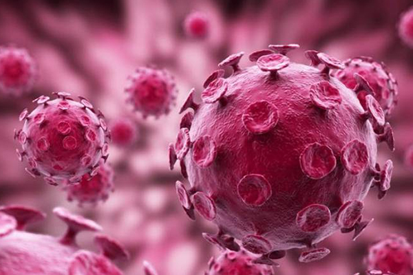 Virus HPV gây sùi mào gà ở nam và nữ Virus HPV gây sùi mào gà ở nam và nữ