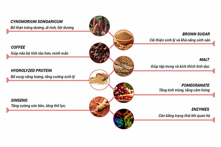 Thành phần của kẹo sâm Hamer