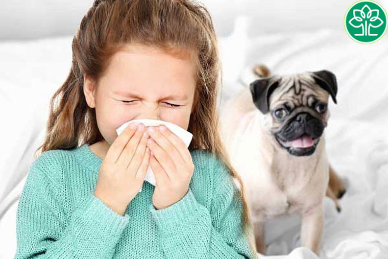 Hạn chế nuôi chó mèo trong nhà nếu người nhà có tiền sử mắc viêm da cơ địa