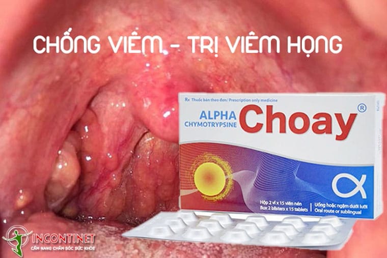 Alpha choay chống viêm, trị viêm họng