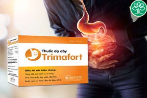 Thuốc Trimafort có tác dụng gì? Những thông tin cơ bản về Trimafort có thể bạn chưa biết