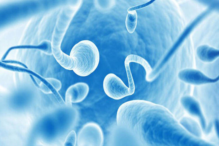 Xuất tinh sớm có thể gây ra hệ quả xấu với mật độ tinh trùng của nam giới